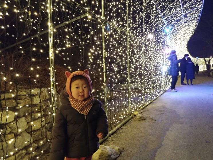  가평 아침 고요수목원 별빛 축제 방문후기