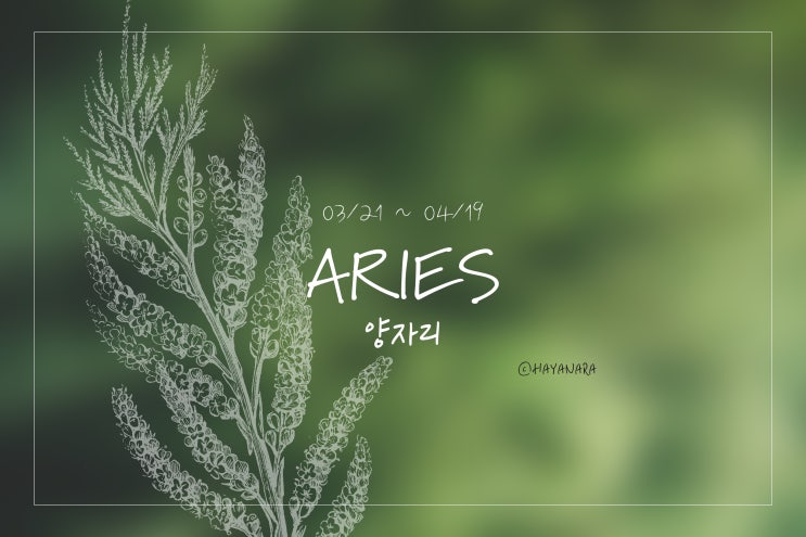  [9월운세]_월간 별자리 운세_양자리