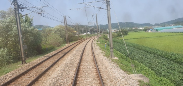  장항행 열차