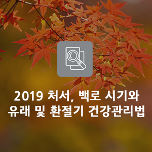  2019 처서, 백로 시기와 유래 및 환절기 건강관리 방법
