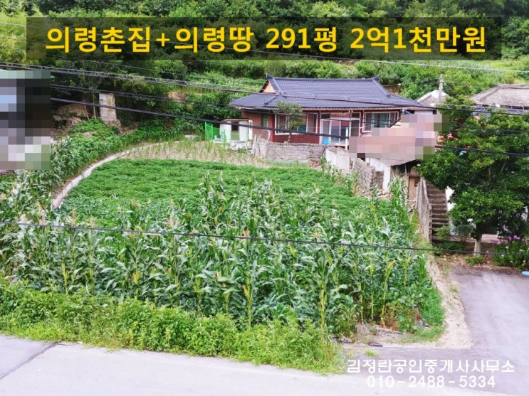  [의령부동산]접근성 좋고 생활권 편리한 위치 의령촌집+의령땅291평(의령전원주택,함안부동산,함안땅,함안촌집,함안전원주택,창녕부동산,창녕땅,창녕촌집,창녕전원주택,합천땅,합천촌집)