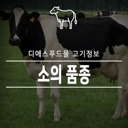 [디에스푸드몰 고기정보]소의 품종