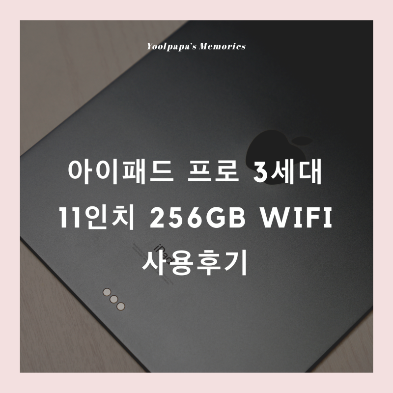 애플 아이패드 프로 3세대 11인치 256gb Wifi 사용기 Apple Ipad Pro 11형 네이버 블로그
