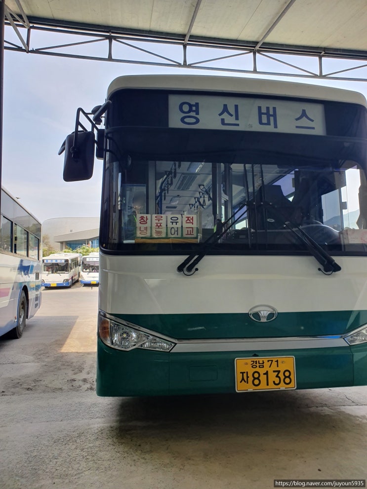 [국내여행] 1박 2일 창녕 밀양 뚜벅이 자유여행 1일차-② (창녕 우포늪 가는 방법, 버스 시간, 입장 요금, 걷기 코스)