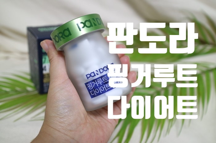  판도라 핑거루트 다이어트로 건강한 다이어트에 도전