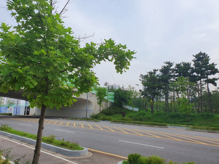  영종도 아파트 유니크하다.