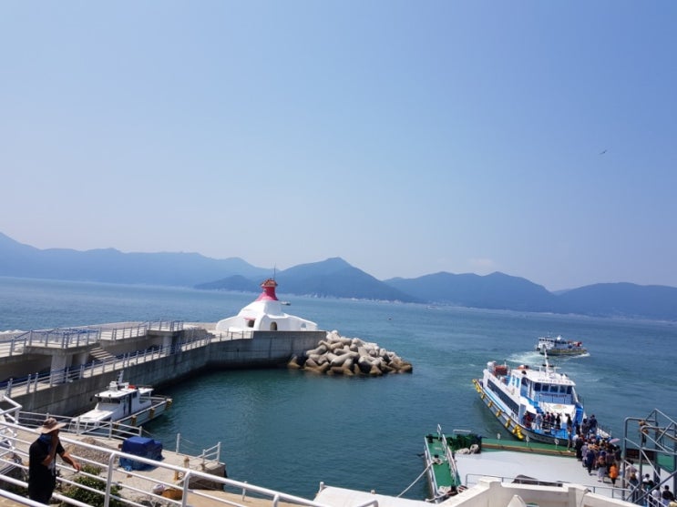  거제도 여행