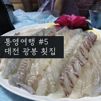 통영 맛집 [대전 광봉 횟집] 통영 여행 5