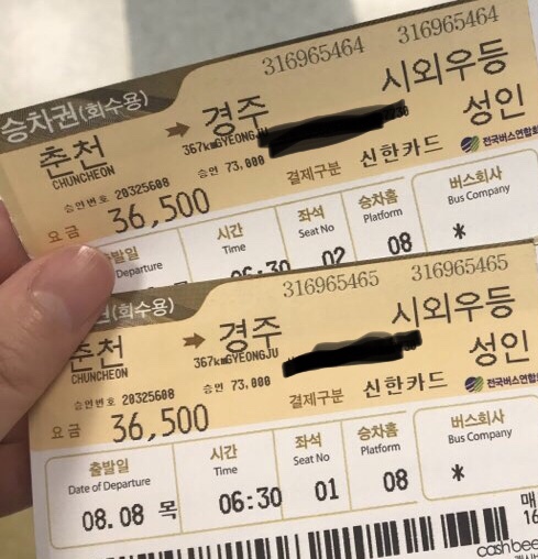  8/8~8/10 이열치열 경주 대구 2박3일 투어