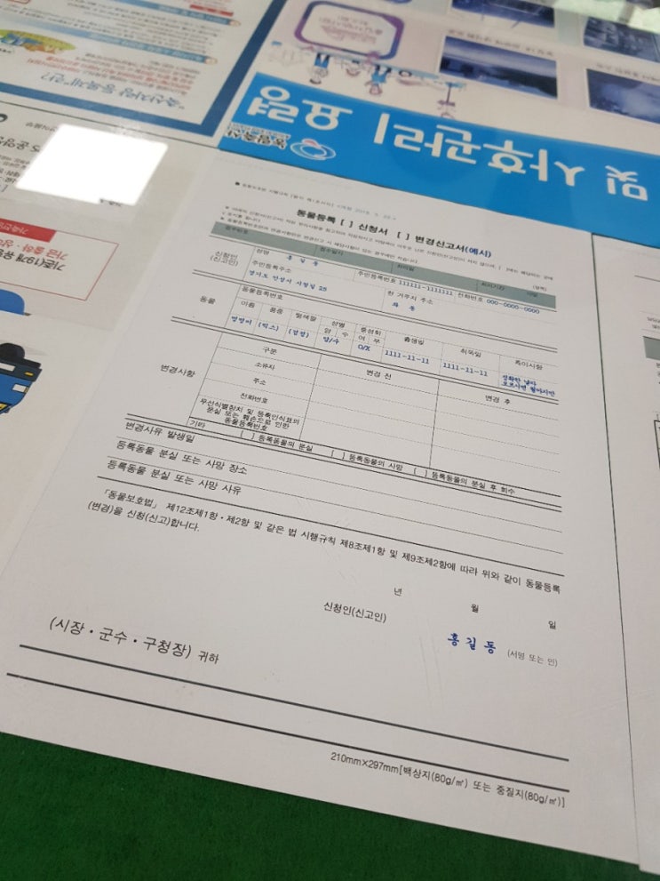  반려동물 등록 모두들 하셨나요? 저도 이제서야 하고 왔답니다 :) (안성 시청에서 반려동물 등록하기 + 등록 시 꼭 챙겨야 할 것)
