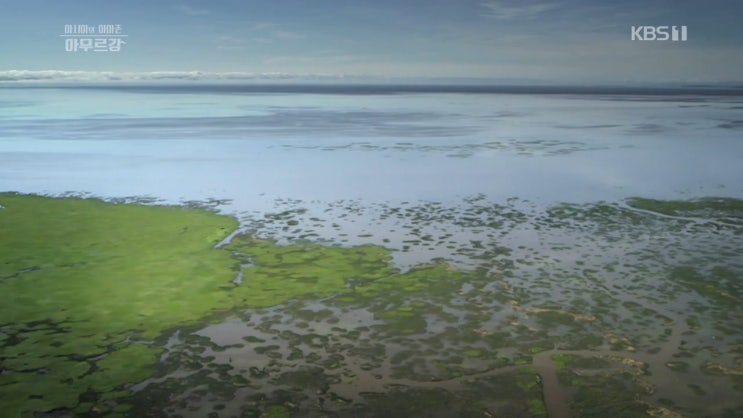 삶의 목적을 간파할 수 있는 "아시아의 아마존, 아무르강"을 보고 나서
