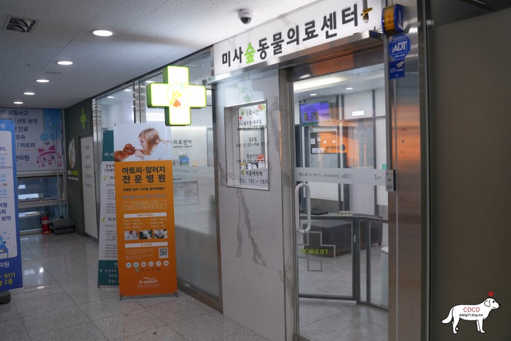  친절한 미사 동물병원 추천 미사숲동물의료센터 :: 코코도 건강검진 받고 왔어요!