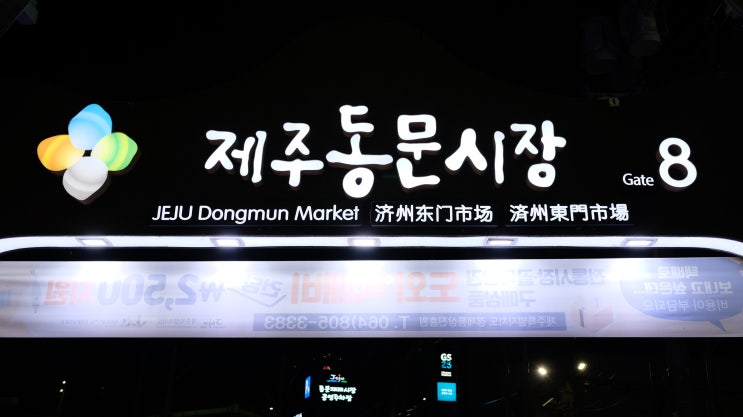  제주도 야시장