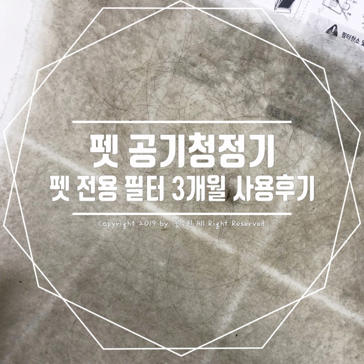  위닉스 펫 공기청정기 펫 전용필터 3달 사용후기