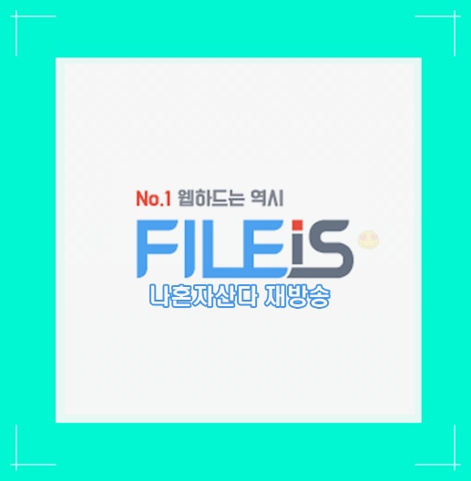  나혼자산다 재방송 재밌는건 두번씩보기^^