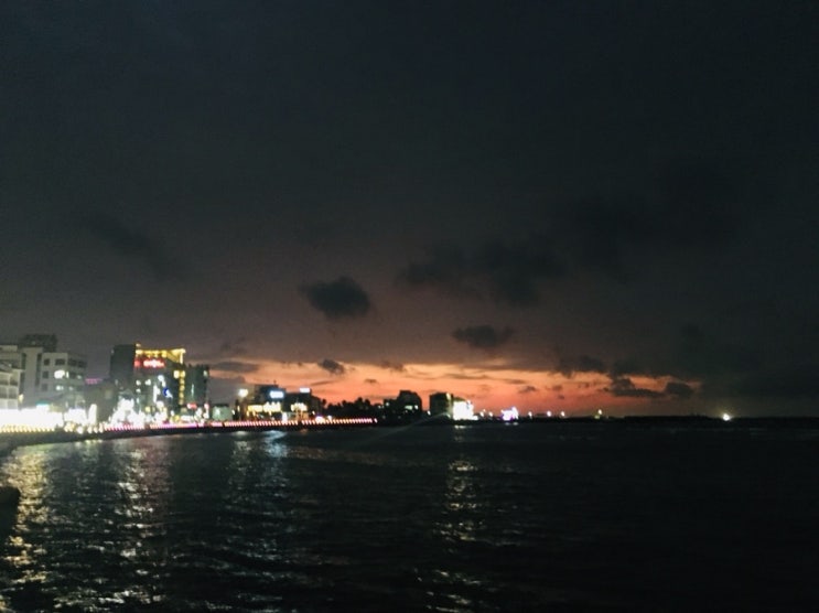  1908 움~직여행 제주 하나 (함덕 유탑유블레스 호텔, 오드랑베이커리, 새우조나단, 표선제주닭집)