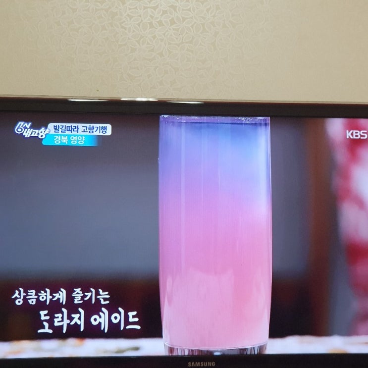  6시 내고향에 나온 꽃차