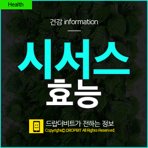  [시서스 가루 효능] 살빼는 마법의 가루인 이유!