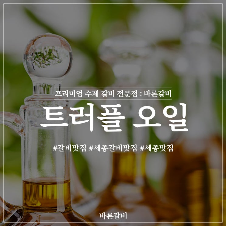  트러플 오일 효능, 송로버섯의 모든것!