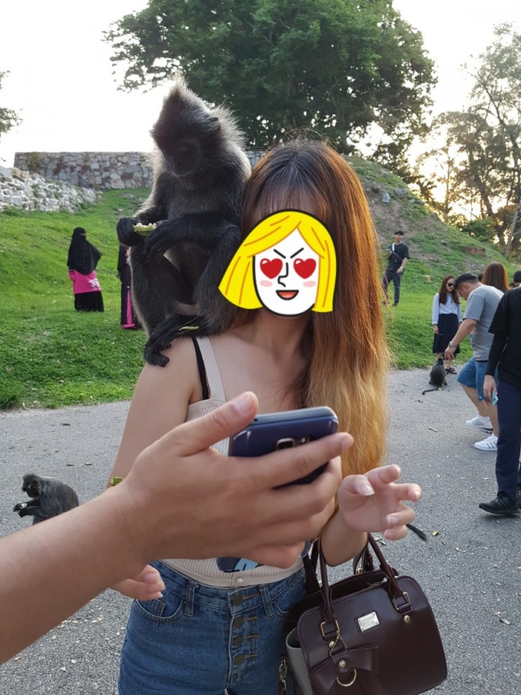  [말레이시아 쿠알라룸푸르] 몽키힐 여행 후기(예스말레이시아 투어)
