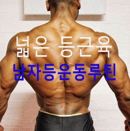 남자 등운동 루틴 쉽게 따라하고 넓은 등근육 만들기 : 네이버 블로그 남자 등운동 루틴 쉽게 따라하고 넓은 등근육 만들기 : 네이버 블로그