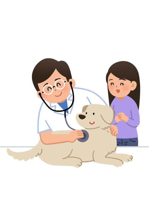 집사님들 많이 기다리셨죠? '펫보험' 쉬워집니다 집사님들 많이 기다리셨죠? '펫보험' 쉬워집니다
