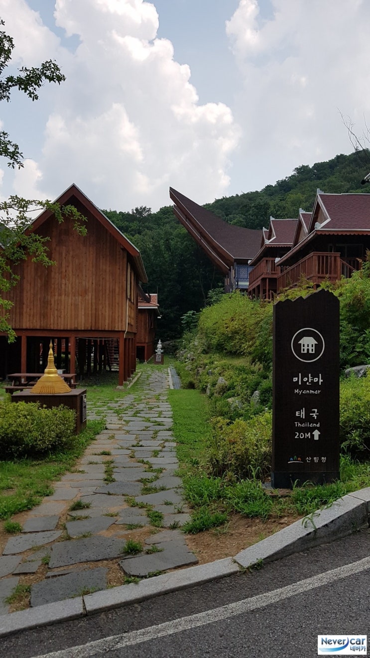  국립 아세안 자연휴양림 2박3일 마장호수 출렁다리, 양주시립 장욱진미술관, 오랑주리 카페, 양주 힐링 여름휴가~!