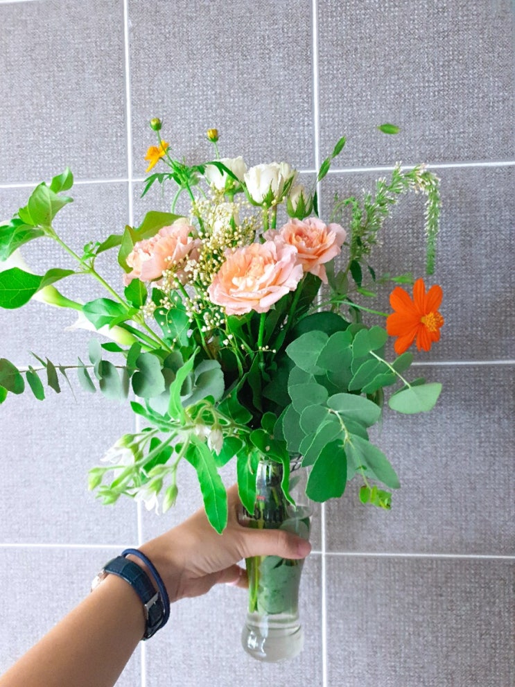  [8월21일 수요일] 뇌섹녀, 뇌섹남, 달변가가 되는 지름길!!!<항공,사회,경제,정치,생활이슈> 읽어봐요 오늘의 뉴스클리핑 :) by.호감부자