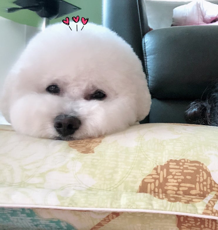  써니네 일상기록̈