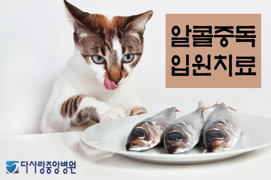 [알콜중독치료X다사랑중앙병원] 알코올중독 입원치료에 대해
