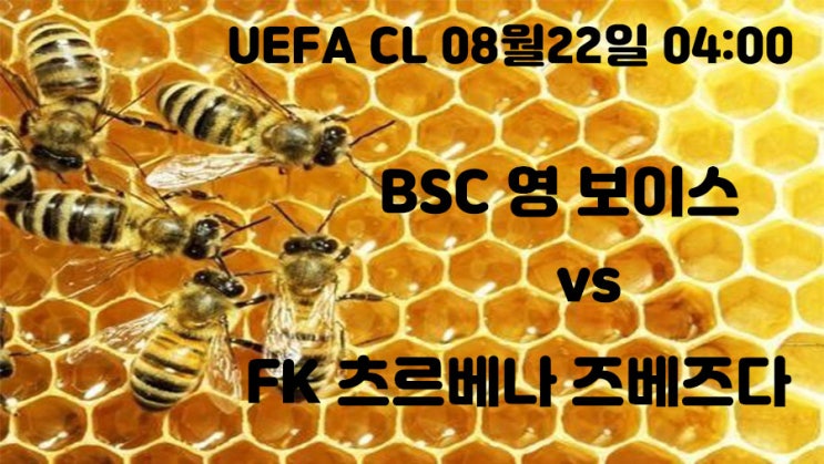  영보이스 츠르베나 즈베즈다 UEFA CL 8월22일 축구 매치 분석정보