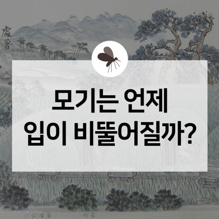  처서? 처서의 뜻 알아보고 관련한 재밌는 속담도 함께 살펴볼까요?