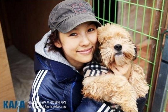  펫샵에서 사지 않고 유기동물 보호소에서 강아지, 고양이 입양 한 연예인들