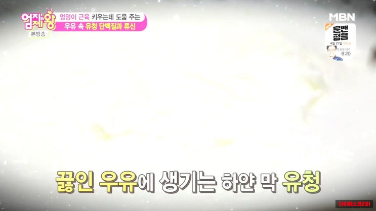  유청단백질가루