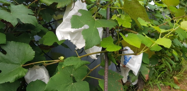  오늘의 뉴스
