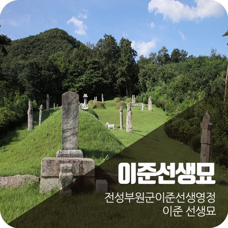 경기도 시도기념물 제120호 이준선생묘