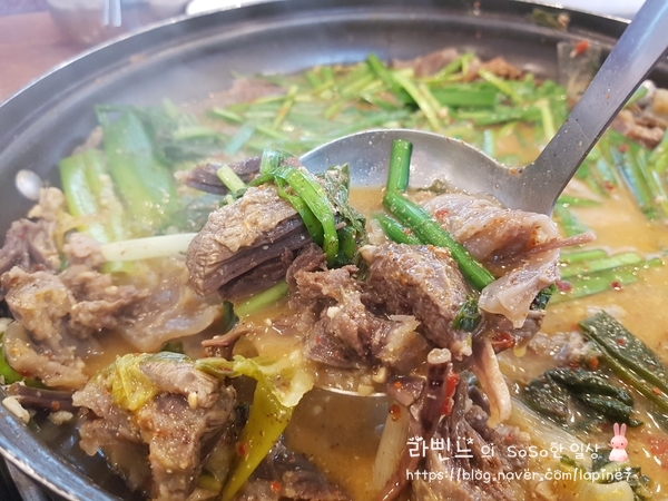  소고기 보신탕 맛집 방배 일미옥 다녀왔어요