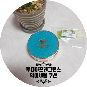  루디아프레그런스 악어세럼쿠션