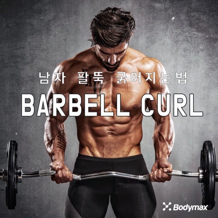  [운동정보] 팔뚝 굵어지는법의 대표 바벨컬 자세히 알기