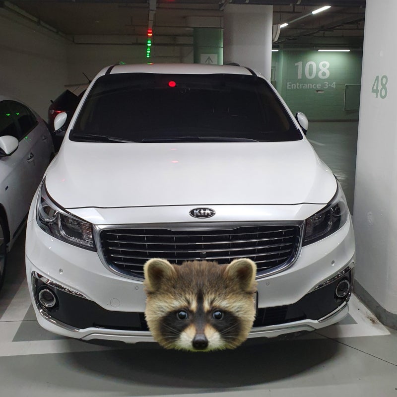 올뉴카니발 엔진오일을 교체하며, 엔진오일에 대한 고찰(교환주기, 순정오일, KIXX PAO)