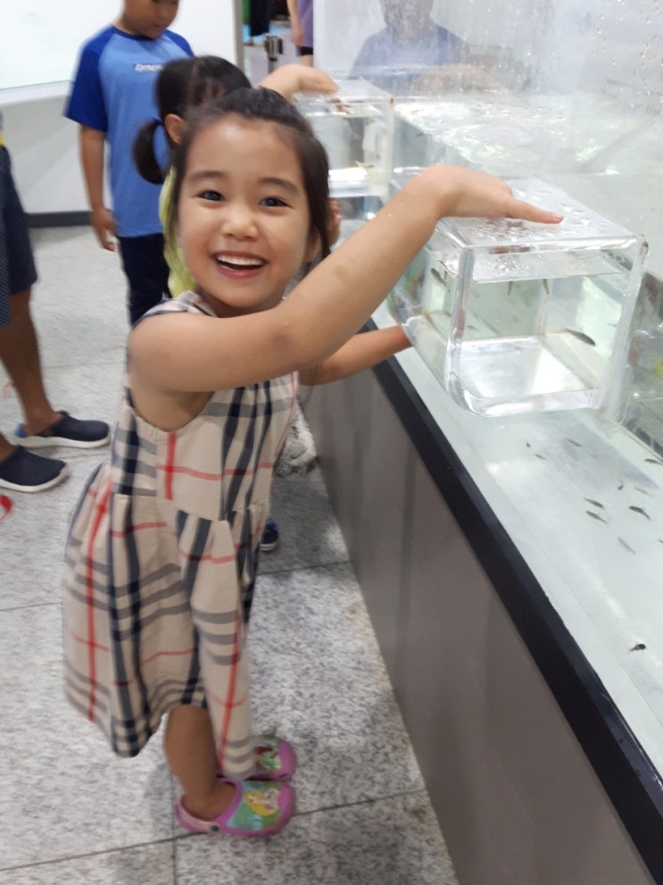  고성찍고, 거제찍고 (2019.08.18)