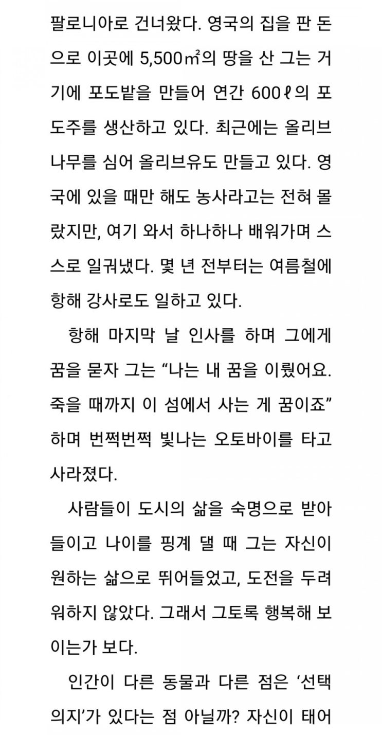  당신의 꿈은 무엇입니까-김수영