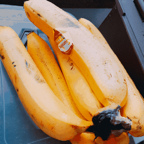 바나나껍질 쓰레기 음식물 vs 일반 버리는법 알아보기! (& 8개월아기 간식)