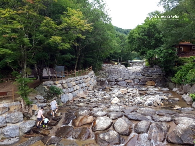 65th camping. 집다리골 휴양림 10번데크 with 지프 데날리