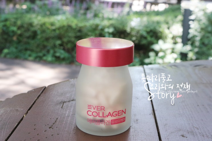  에버콜라겐 UV케어 이너뷰티 나도 먹고있죵~