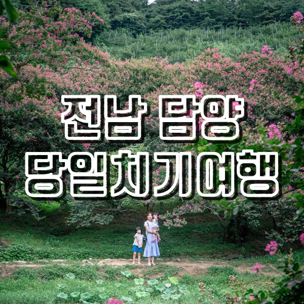  전남 담양 당일치기 여행코스 명옥헌원림, 담양국수맛집, 메타세콰이어길, 메타프로방스