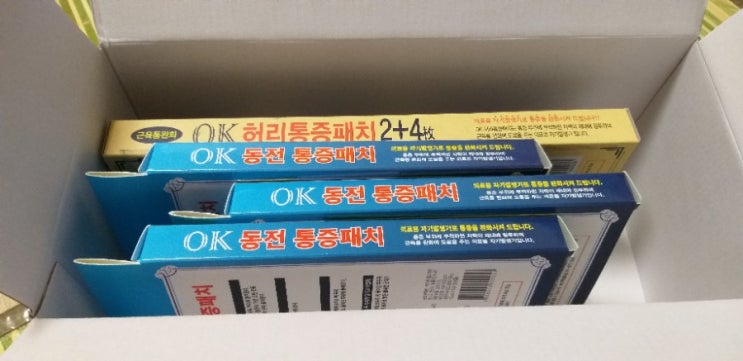  히딩크 자석 파스,히딩크동전패치