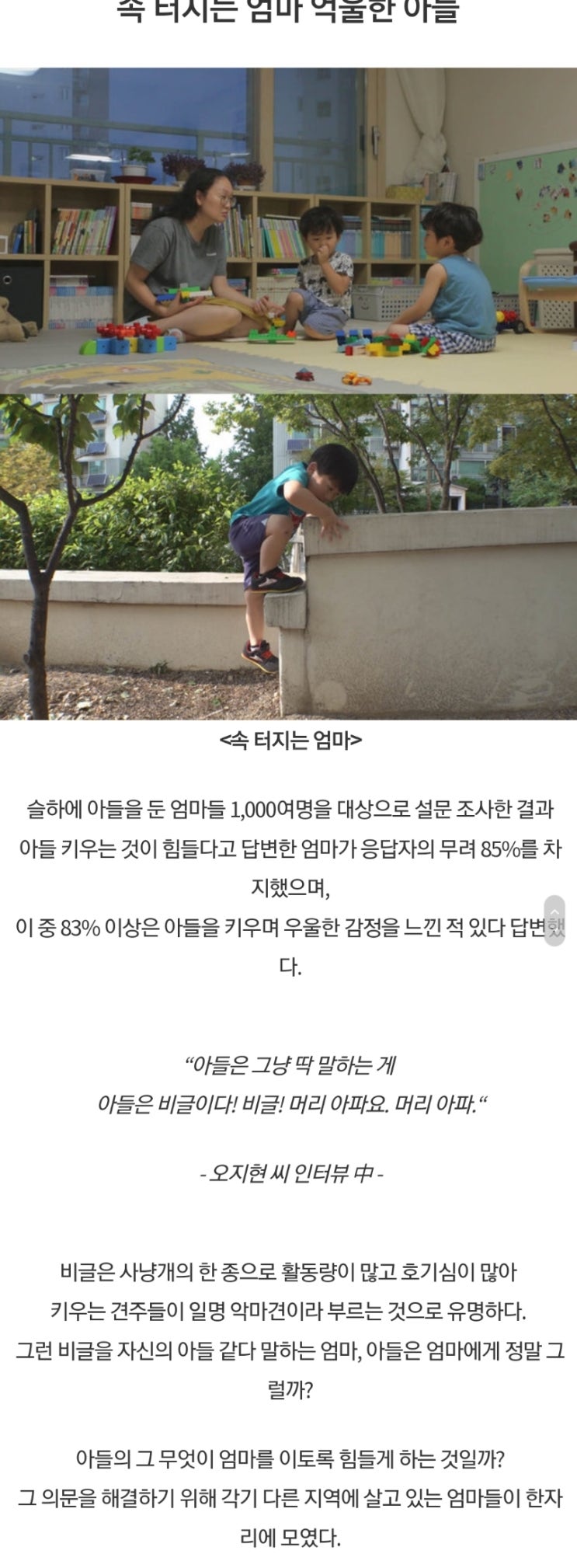  SBS 스페셜  속 터지는 엄마, 억울한 아들: 아들 엄마라면 한번쯤 시청하길 추천