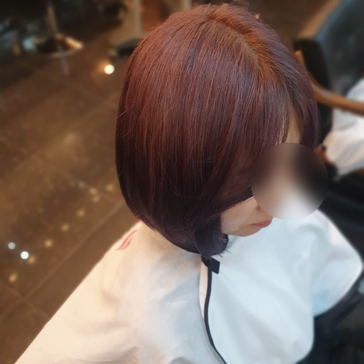  원주리안헤어단관점,애쉬바이올렛컬러