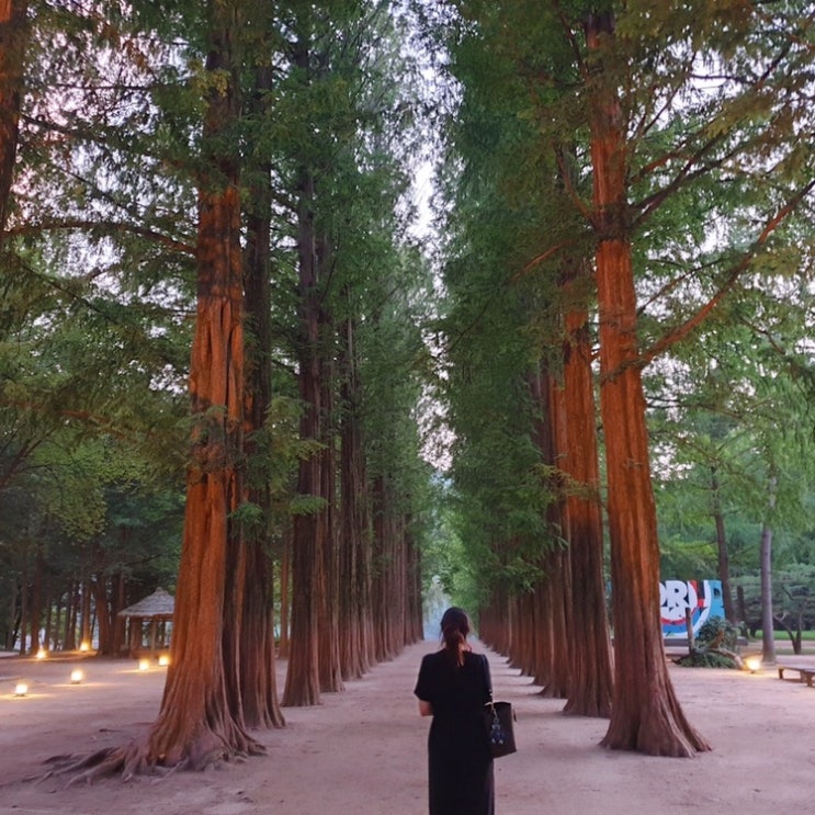  일상 : 강정보 게이블루프커피, 신천동 와우정, 성서계대 라쿵푸마라탕, 팔공티, 범물동 맛집부추잡채, 송해공원 솔밭생수식당, 친구숯불닭갈비, 샌드리아, 맛찬들, 옥루몽, 종부의손맛